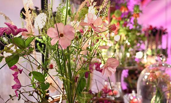 Gabriele Haufe - Blumen - Ideen - Erlebnisse