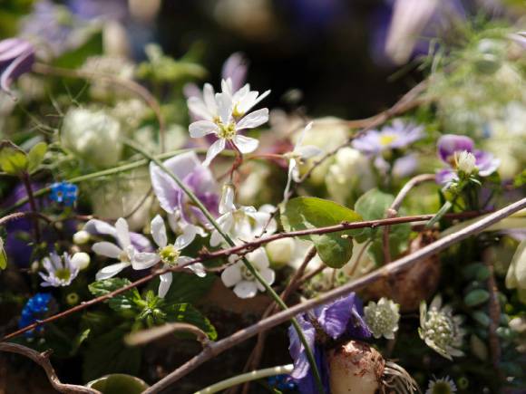 Gabriele Haufe - Blumen - Ideen - Erlebnisse